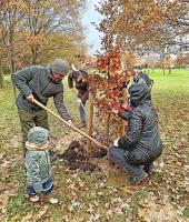 Ouders planten bomen ter ere van 71 meisjes en 72 jongens die het afgelopen jaar in Borsbeek werden geboren. © Stichting Kempens Landschap