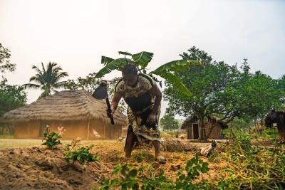 Slechts een vierde van alle landbouwgrond in Congo wordt gebruikt door kleine landbouwfamilies. © Broederlijk Delen