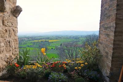 Het zicht vanuit het San Damianoklooster in Assisi inspireerde Frank Smekens. © Viviane Heleu