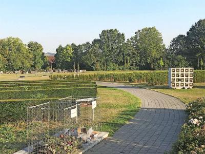 Brede lanen nodigen uit tot recreatief autogebruik op de begraafplaats, maar daaraan komt een einde. © Stad Oudenaarde
