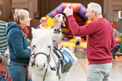 Tijdens Circus for a Smile weten ook therapiedieren zich aan te passen aan de typische circussfeer. © Karin Warnant
