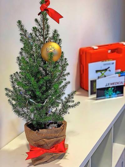 De kleine kerstbomen voor de jaarlijkse verkoop werden dit jaar thuis in elkaar geknutseld door vrijwilligers. © vzw Bas