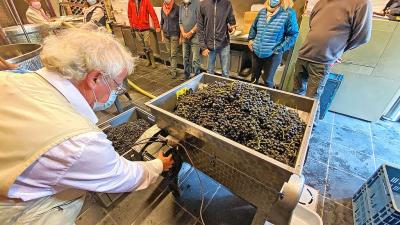 Voor het wijnbereidingsproces baseert Villers-la-Vigne zich op de methode-Beaujolais. © Villers-la-Vigne