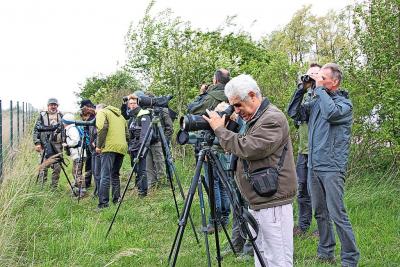 Vogelliefhebbers observeren trekvogels en brengen hun vluchtgedrag in kaart. © Vogelwerkgroep Oost-Brabant